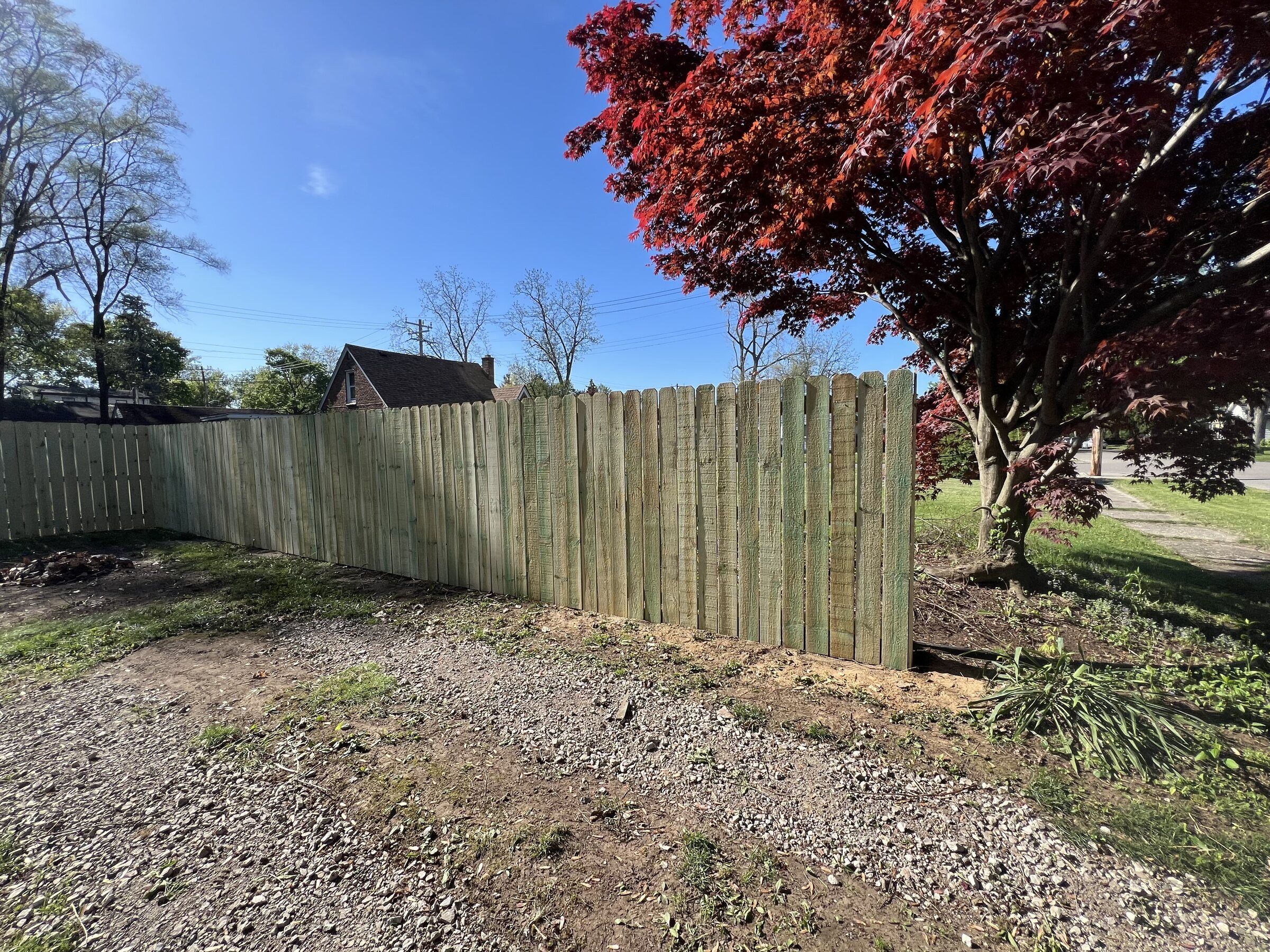 Wood privacy fence along a side yard beside a red Japanese maple